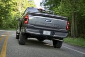 Ford F-Series F-150 XIV SuperCrew 3.3 Ti-VCT V6 (290 Hp) FFV Automatic 2020 - present