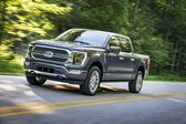 Ford F-Series F-150 XIV SuperCrew 5.0 Ti-VCT V8 (400 Hp) FFV Automatic 2020 - present