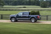 Ford F-Series F-150 XIV SuperCrew Raptor 3.5 EcoBoost V6 4x4 Automatic 2021 - present