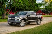 Ford F-Series F-150 XIV SuperCrew Raptor 3.5 EcoBoost V6 4x4 Automatic 2021 - present