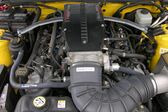 Ford Mustang V 4.0i V6 (205 Hp) 2004 - 2005