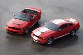 Ford Shelby II GT 4.6 V8 (329 Hp) Automatic 2006 - 2009