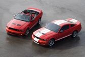 Ford Shelby II GT 500 5.4 V8 (507 Hp) 2006 - 2009