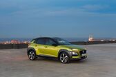 Hyundai Kona 2017 - 2020