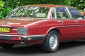 Jaguar XJ (XJ40/XJ81) 6.0 V12 (311 Hp) 1993 - 1994