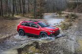 Jeep Cherokee V (KL, facelift 2018) 2.4 (180 Hp) Automatic 2018 - present