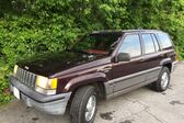 Jeep Grand Cherokee I (ZJ) 4.0i (192 Hp) 4WD 1993 - 1994