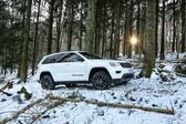 Jeep Grand Cherokee IV (WK2 facelift 2017) 2017 - 2021