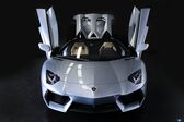 Lamborghini Aventador LP 700-4 Roadster 2013 - 2017