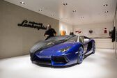 Lamborghini Aventador LP 700-4 Roadster 2013 - 2017