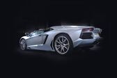 Lamborghini Aventador LP 700-4 Roadster 2013 - 2017