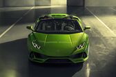 Lamborghini Huracan EVO Spyder (facelift 2019) 5.2 V10 (640 Hp) AWD DCT 2019 - present