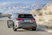 Mercedes-Benz A-class (W177) A 220 d (190 Hp) 4MATIC 8G-DCT 2019 - present