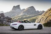 Mercedes-Benz AMG GT Roadster (R190) 2017 - present