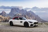 Mercedes-Benz AMG GT Roadster (R190) 2017 - present