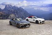 Mercedes-Benz AMG GT Roadster (R190) 2017 - present