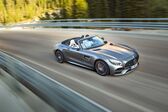 Mercedes-Benz AMG GT Roadster (R190) 2017 - present