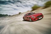 Mercedes-Benz AMG GT (C190) 2015 - 2017