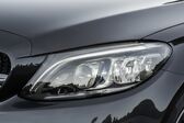 Mercedes-Benz C-class Cabriolet (A205, facelift 2018) 2018 - 2021