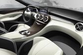 Mercedes-Benz C-class (W205) 2014 - 2018