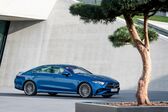 Mercedes-Benz CLS coupe (C257, facelift 2021) CLS 220 d (194 Hp) 9G-TRONIC 2021 - present