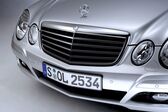 Mercedes-Benz E-class (W211, facelift 2006) E 220 CDI (170 Hp) Automatic 2006 - 2009