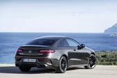 Mercedes-Benz E-class Coupe (C238, facelift 2020) E 450 (367 Hp) MHEV 4MATIC G-TRONIC 2020 - present