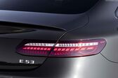 Mercedes-Benz E-class Coupe (C238, facelift 2020) E 220d (194 Hp) G-TRONIC 2020 - present