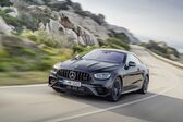 Mercedes-Benz E-class Coupe (C238, facelift 2020) E 300 d EQ Boost (265 Hp) 4MATIC 9G-TRONIC 2021 - present