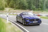 Mercedes-Benz E-class Cabrio (A238, facelift 2020) E 220d (194 Hp) 4MATIC G-TRONIC 2020 - present