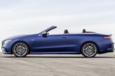 Mercedes-Benz E-class Cabrio (A238, facelift 2020) E 220d (194 Hp) 4MATIC G-TRONIC 2020 - present