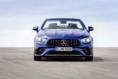 Mercedes-Benz E-class Cabrio (A238, facelift 2020) E 450 (367 Hp) MHEV 4MATIC G-TRONIC 2020 - present