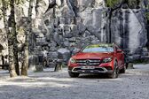 Mercedes-Benz E-class All-Terrain 2016 - 2020