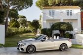 Mercedes-Benz E-class Cabrio (A238) 2017 - 2020