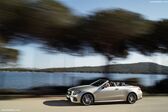 Mercedes-Benz E-class Cabrio (A238) E 220d (194 Hp) 4MATIC G-TRONIC 2017 - 2020
