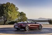 Mercedes-Benz E-class Cabrio (A238) E 350d (286 Hp) G-TRONIC 2018 - 2020