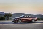 Mercedes-Benz E-class Cabrio (A238) 2017 - 2020