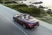 Mercedes-Benz E-class Cabrio (A238) E 200 (184 Hp) 4MATIC G-TRONIC 2017 - 2019