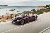 Mercedes-Benz E-class Cabrio (A238) E 220d (194 Hp) 4MATIC G-TRONIC 2017 - 2020