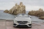 Mercedes-Benz E-class Cabrio (A238) E 350d (286 Hp) G-TRONIC 2018 - 2020