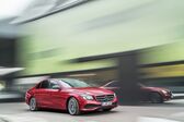 Mercedes-Benz E-class (W213) E 220d (194 Hp) 4MATIC G-TRONIC 2016 - 2020