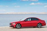 Mercedes-Benz E-class (W213) E 220d (194 Hp) G-TRONIC 2016 - 2020