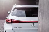 Mercedes-Benz EQA 250 66.5 kWh (190 Hp) 2021 - present