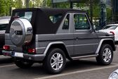 Mercedes-Benz G-class Cabriolet (W463, facelift 2008) 2008 - 2012