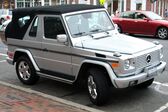 Mercedes-Benz G-class Cabriolet (W463, facelift 2000) G 320 V6 (215 Hp) 4MATIC Automatic 2001 - 2006