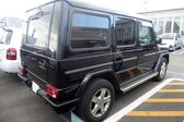 Mercedes-Benz G-class Long (W463, facelift 2007) 2007 - 2008