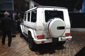 Mercedes-Benz G-class Long (W463, facelift 2012) AMG G 65 (612 Hp) 4MATIC SPEEDSHIFT G-TRONIC 2012 - 2015