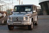 Mercedes-Benz G-class Long (W463, facelift 2012) AMG G 65 (612 Hp) 4MATIC SPEEDSHIFT G-TRONIC 2012 - 2015