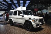 Mercedes-Benz G-class Long (W463, facelift 2012) AMG G 65 (612 Hp) 4MATIC SPEEDSHIFT G-TRONIC 2012 - 2015