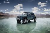 Mercedes-Benz Maybach G-class 2017 - 2017